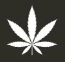 Bobygreen Coupon Codes
